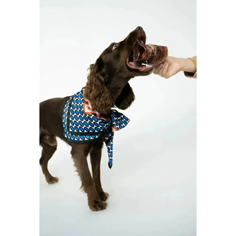 Winnie Lou All - Natural Bison Trachea Chews for Dogs - Talis Us