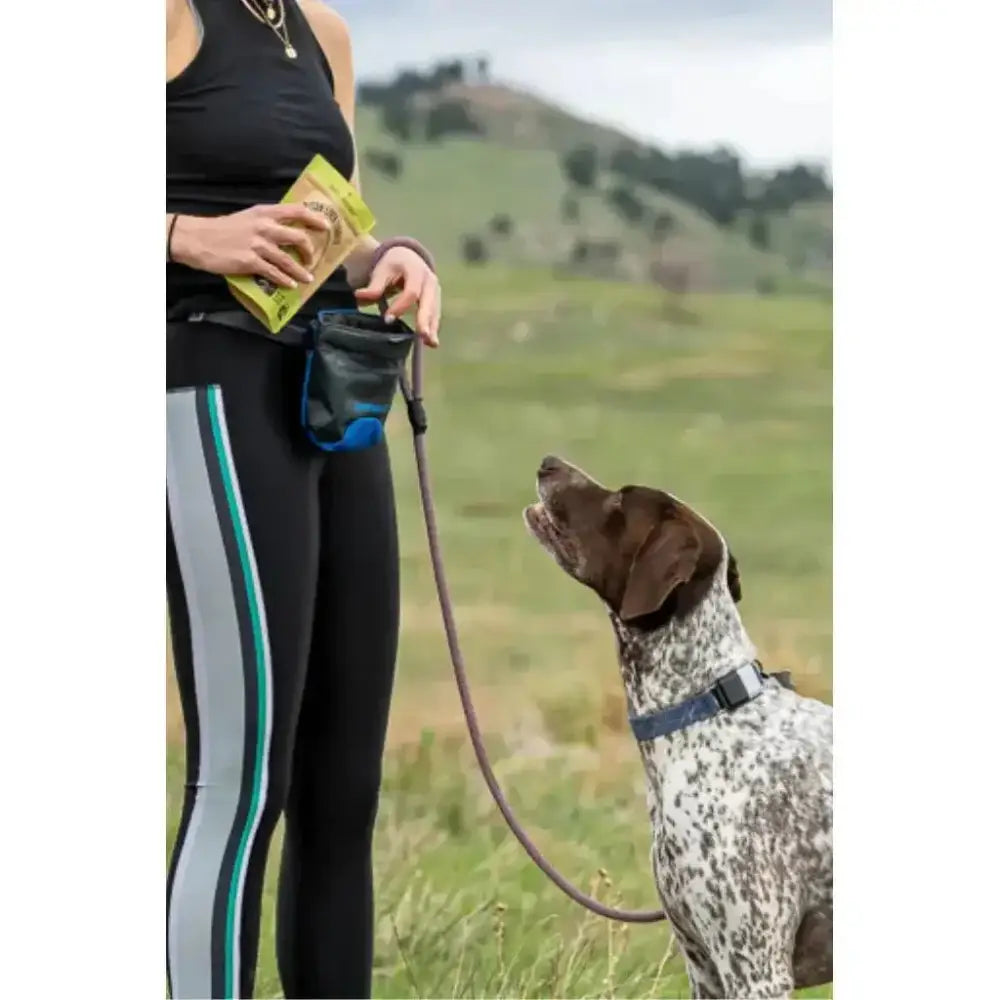 Winnie Lou Bison Liver Tidbits Dog Treats 2 oz - Talis Us