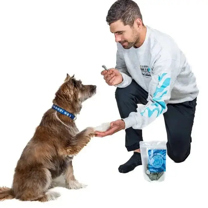 Winnie Lou Bugsy's Pb Cricket Bites Dog Treats 5 oz - Talis Us