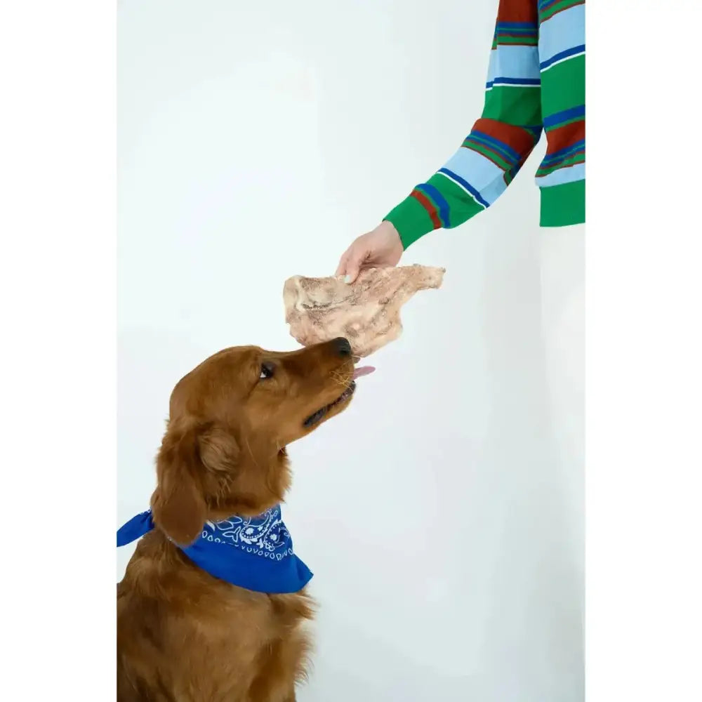 Winnie Lou Freeze - Dried Bison Scapula Chews – All - Natural Long - Lasting Treats - Talis Us