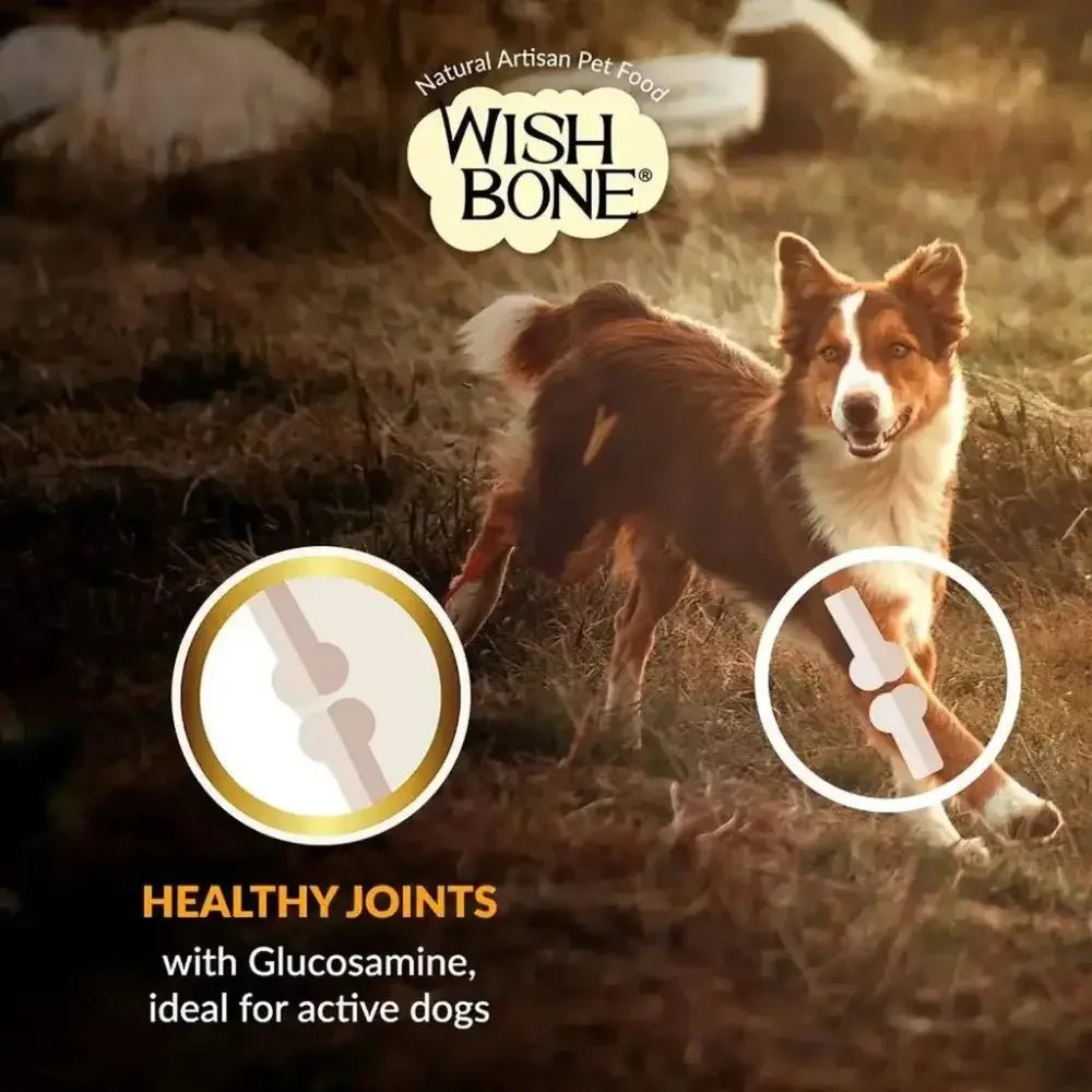 Wishbone Gold for Working Dogs Dry Dog Food 44 lb - Talis Us