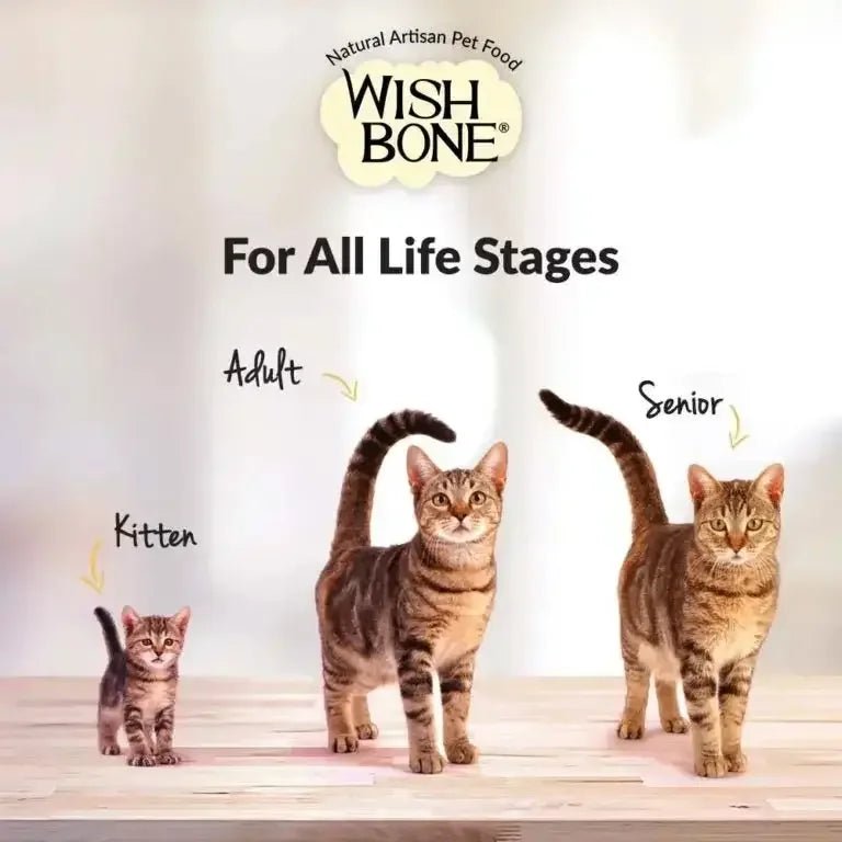 Wishbone Grain Free Graze Grass fed New Zealand Beef Dry Cat Food - Talis Us