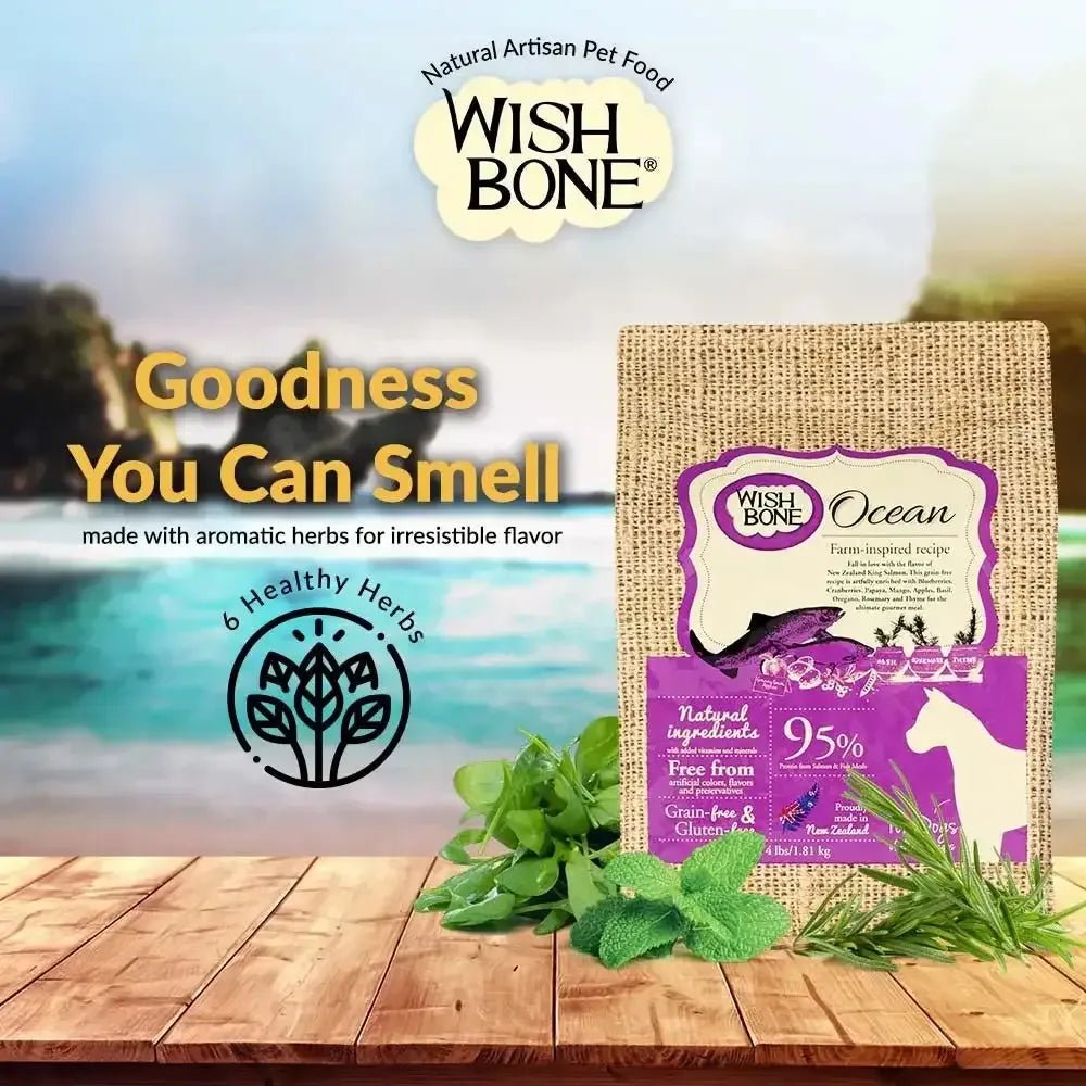 Wishbone Grain Free Ocean – Real New Zealand Salmon Dry Dog Food - Talis Us