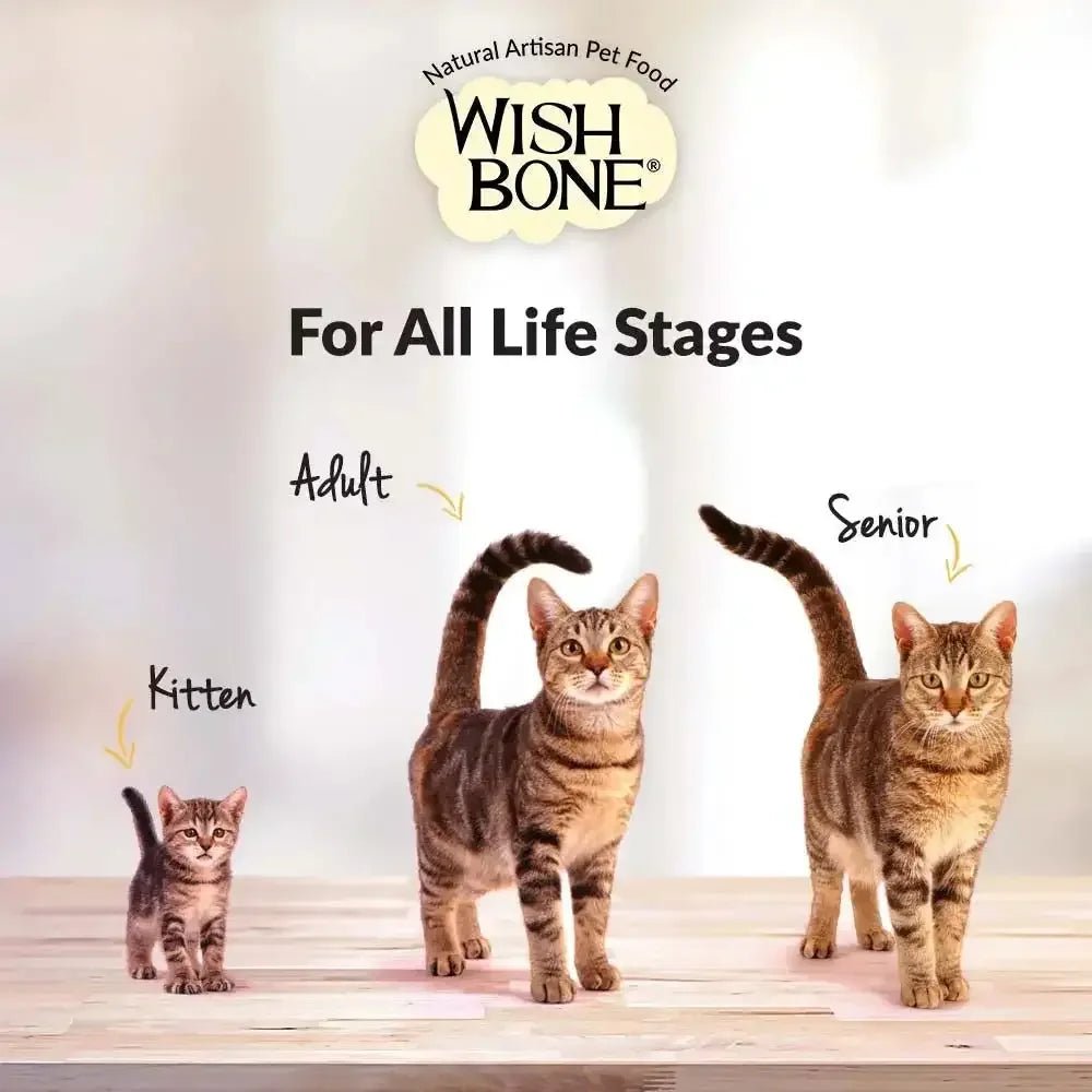 Wishbone Grain Free Pasture Grass - fed New Zealand Lamb Dry Cat Food - Talis Us