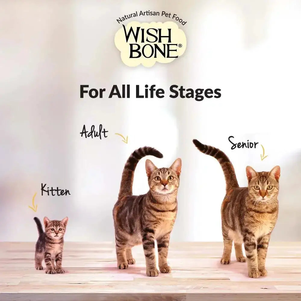 Wishbone Grain Free Pasture Grass-fed New Zealand Lamb Dry Cat Food Wishbone