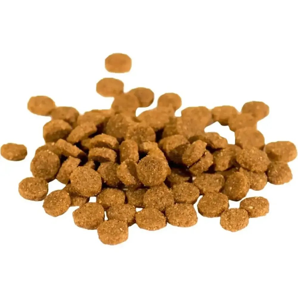Wishbone Grain Free Roost – Premium New Zealand Chicken Dry Cat Food - Talis Us