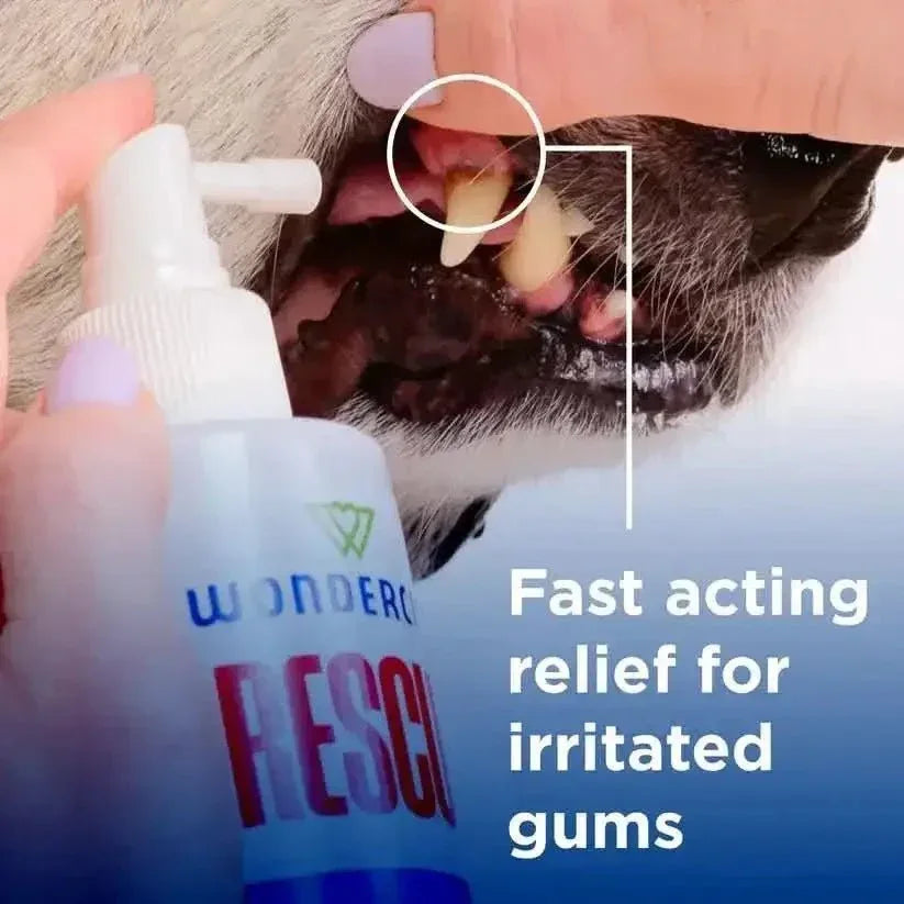 Wondercide Rescue Oral Spray for Dogs and Cats Freshens Breath 8.5oz - Talis Us