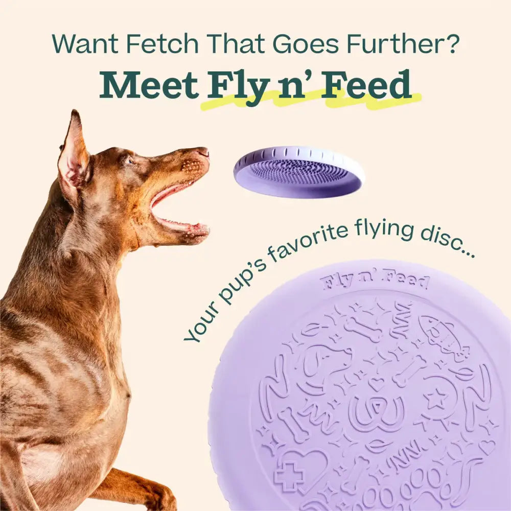Fly n' Feed flying disc dog toy designed for long-distance fetch and fun playtime.