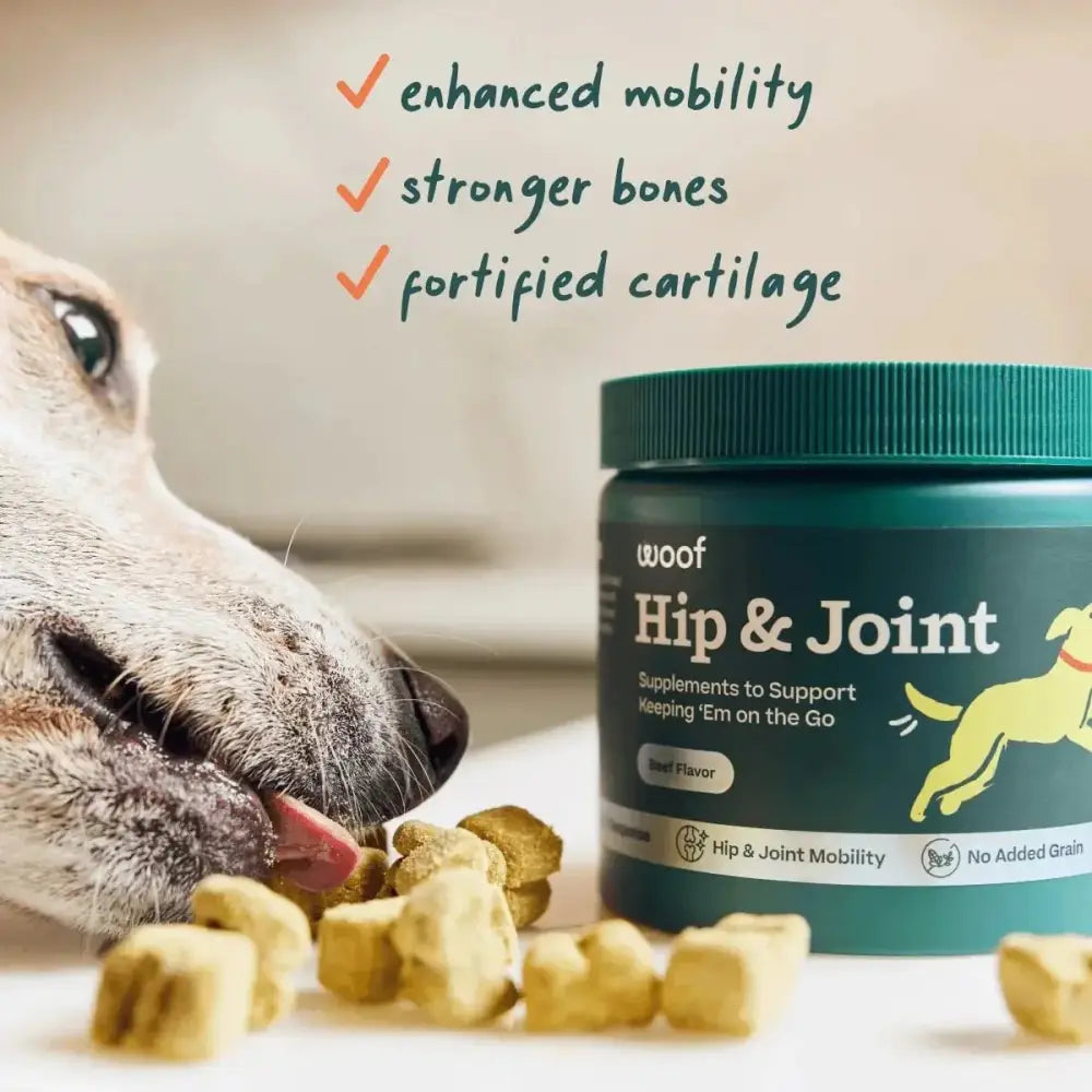 Woof Hip & Joint Beef Flavored Chew Hip & Joint Supplement for Dogs - Talis Us