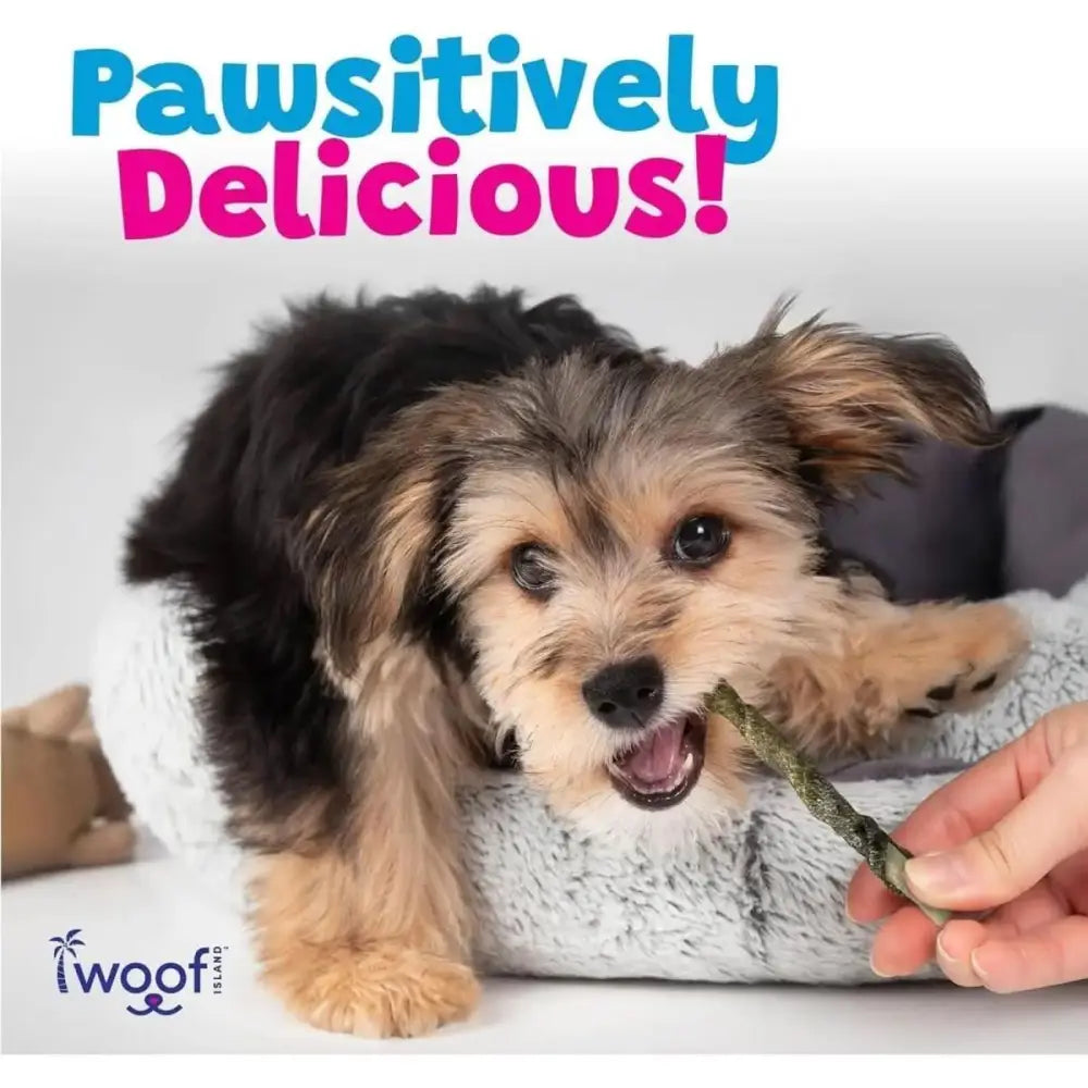 Woof Island Coconut and Mango Sticks Dog Treats with Fish Skin - Talis Us
