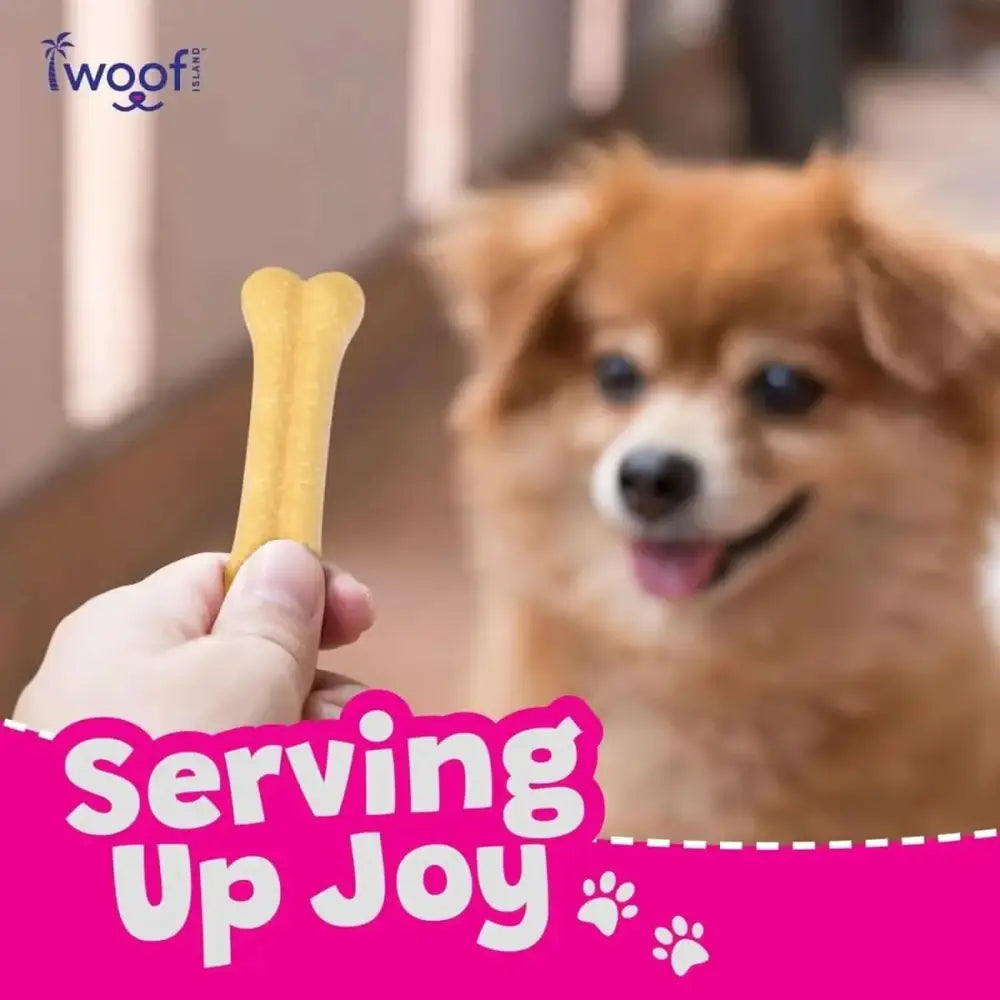 Woof Island Natural Rawhide Free Coconut Dog Bones Healthy Chews 2 pcs - Talis Us