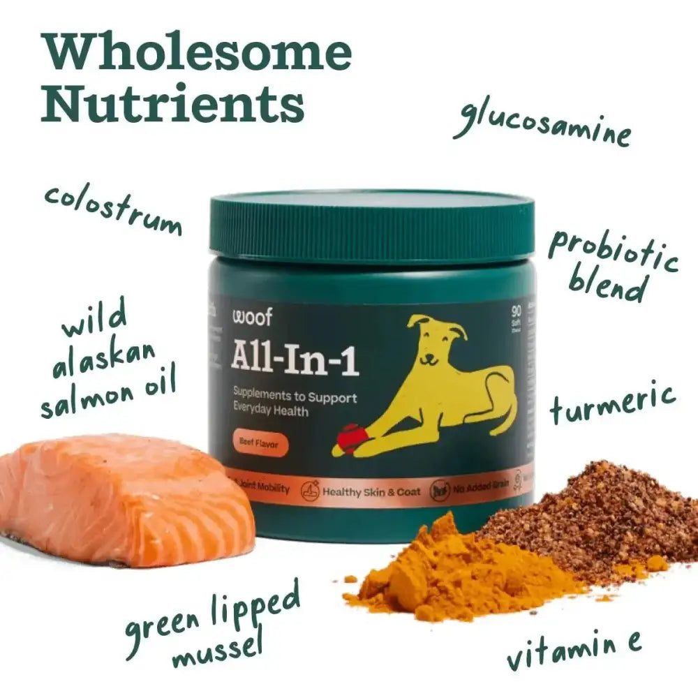 Woof Pet All - In - 1 Beef Flavored Chew Vitamin Supplement for Dogs - Talis Us