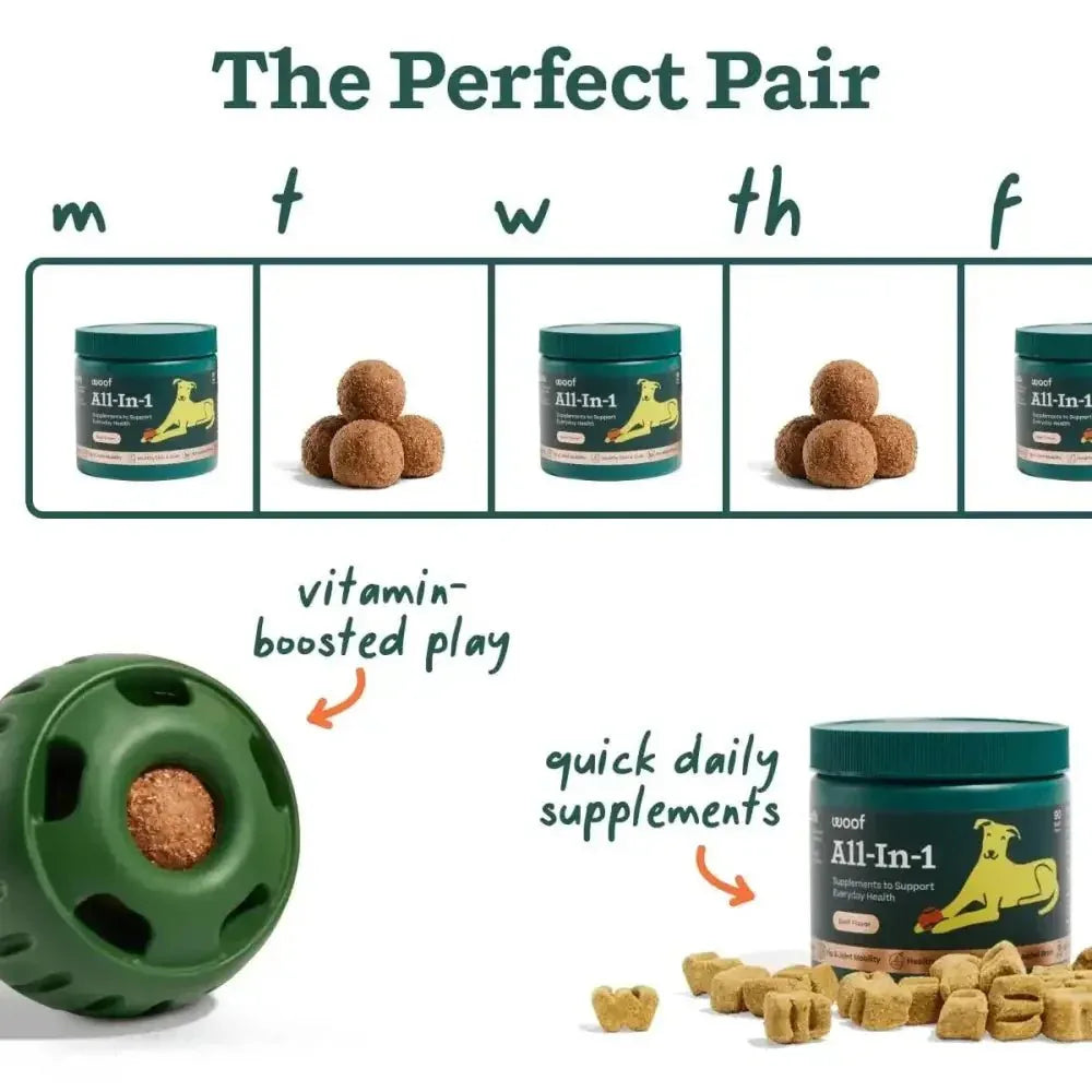 Woof Pet All - In - 1 Beef Flavored Chew Vitamin Supplement for Dogs - Talis Us