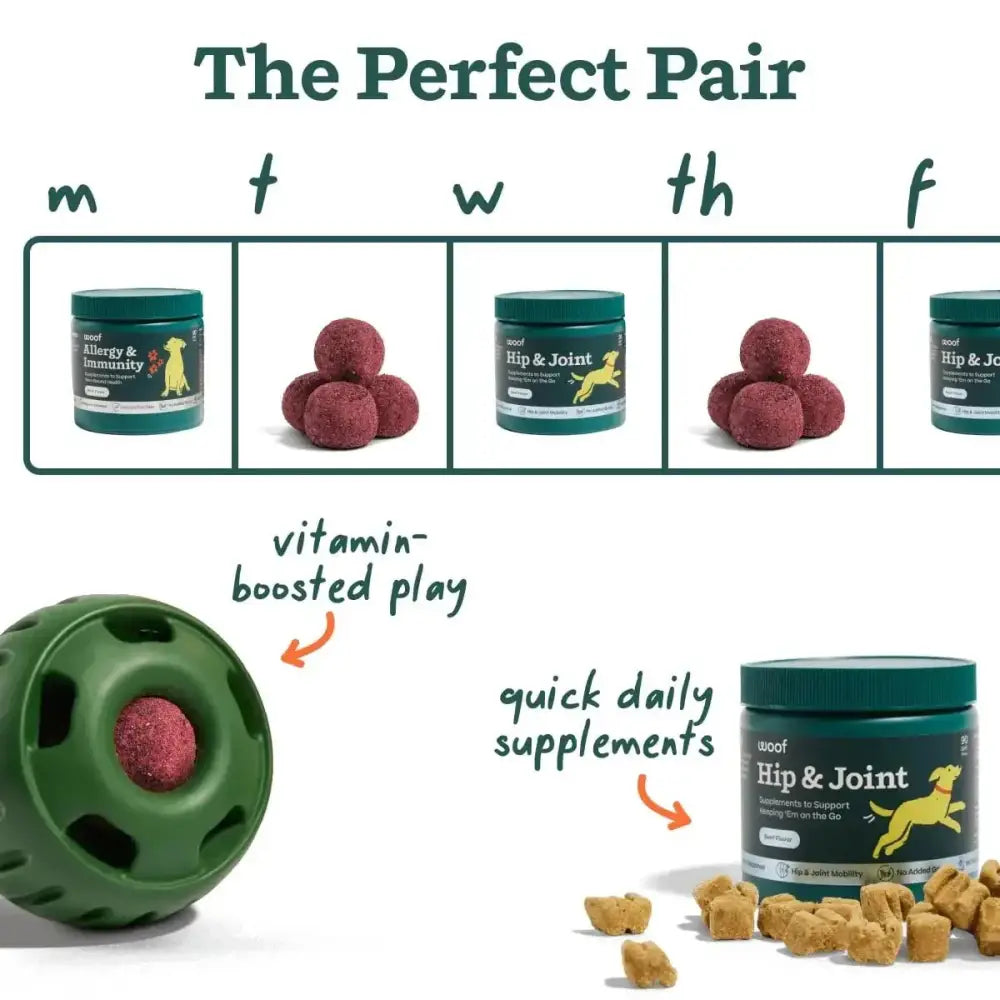 Woof Pet Allergy & Immunity Beef Flavored Chew Supplement for Dogs - Talis Us