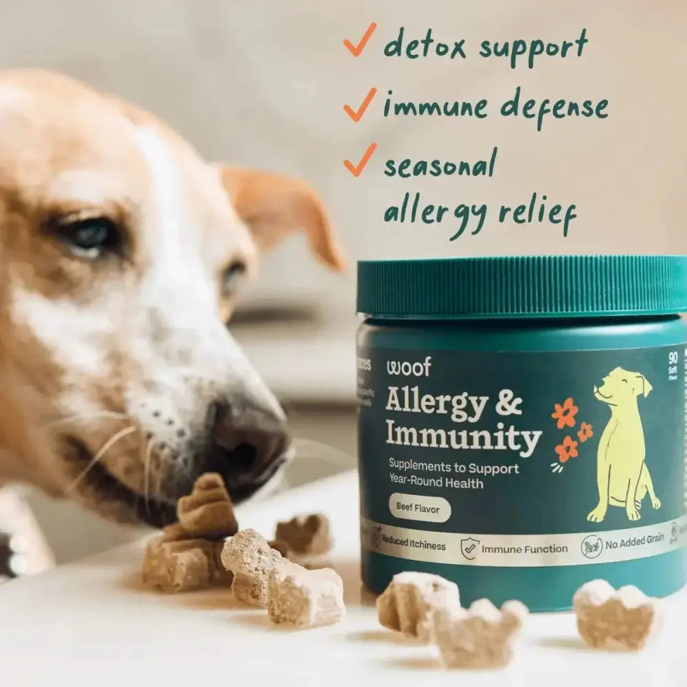Woof Pet Allergy & Immunity Beef Flavored Chew Supplement for Dogs - Talis Us