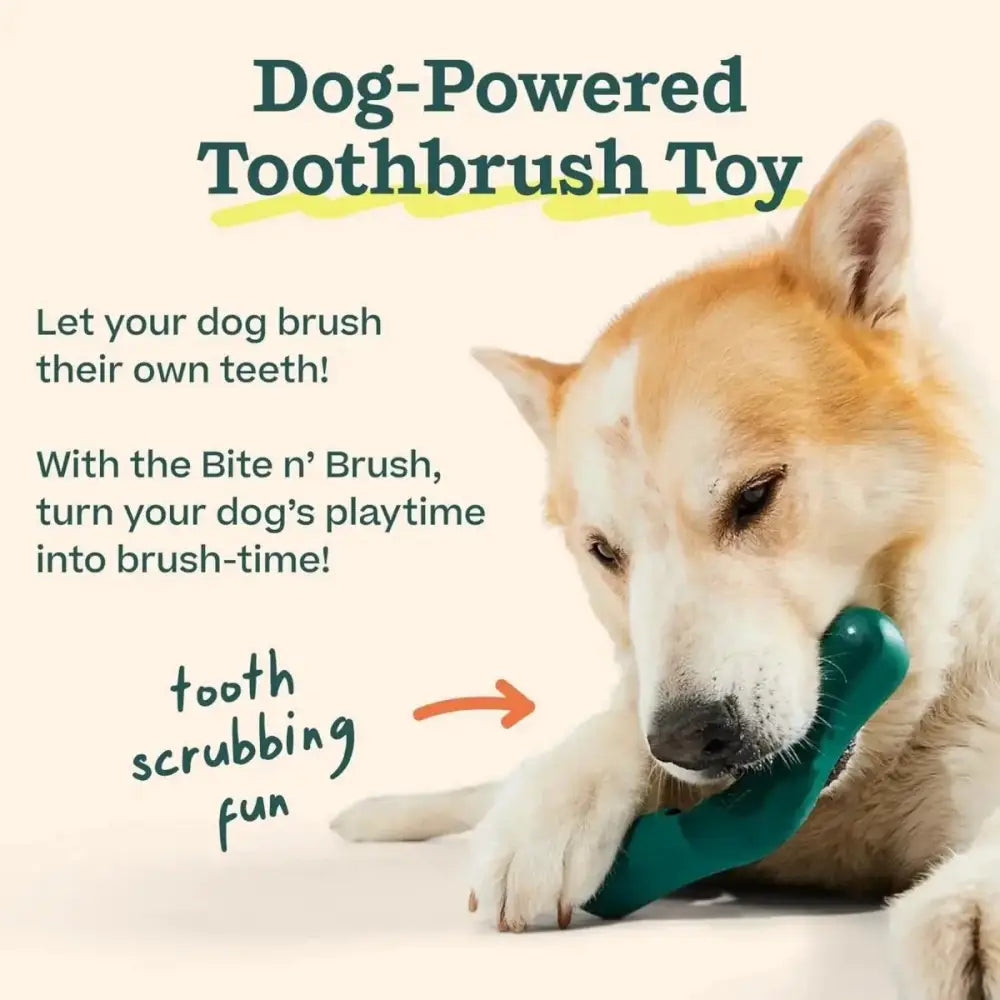 Woof Pet The Bite n' Brush Dental Chew Toy - Talis Us