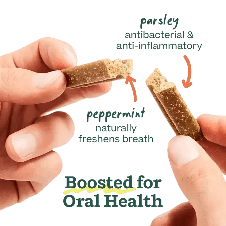 Woof Pet Bite n' Brush Dental Refills - Talis Us