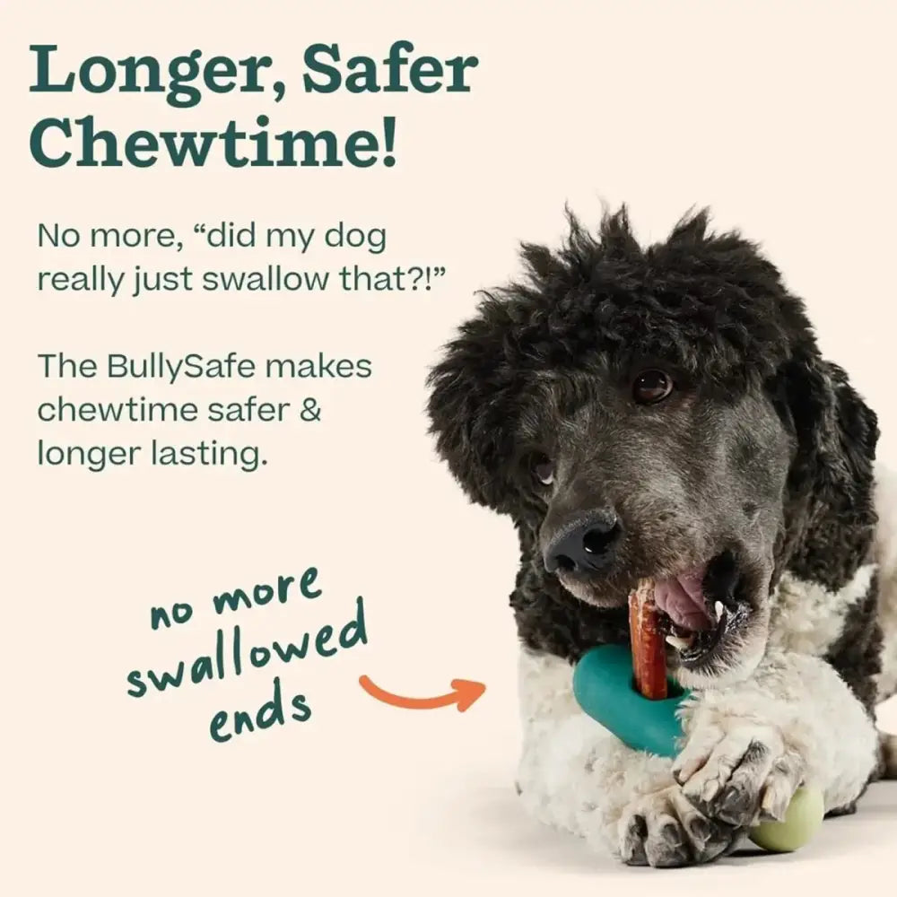 Woof Pet The BullySafe Durable Dog Chew Holder - Talis Us