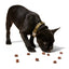 Woof Pet Love Nuggets Beef Training Treats - Talis Us