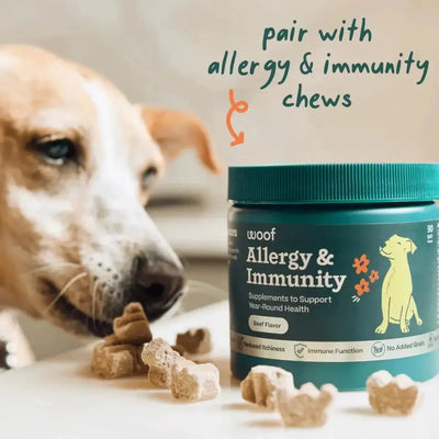 Woof Pet Pupsicle Allergy & Immunity Pop Refills Long Lasting Lickable Dog Treats - Talis Us