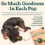 Woof Pet Pupsicle Pops Refills All - in - 1 Health Beef Grain - Free Lickable Dog Treats - Talis Us
