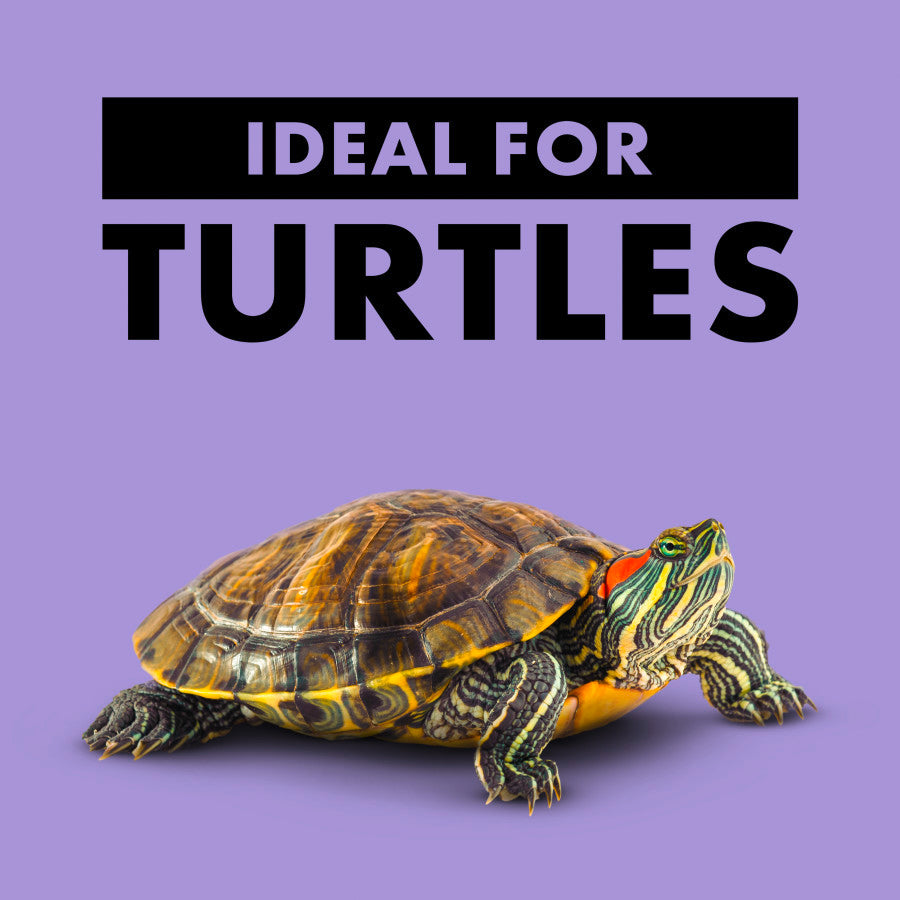 Zilla Freeze Dried River Shrimp Munchies for Reptiles with a turtle on a purple background, labeled "Ideal for Turtles."