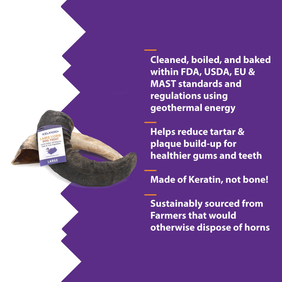 Icelandic Large Lamb Horn dog treat on a purple background with product features and benefits.