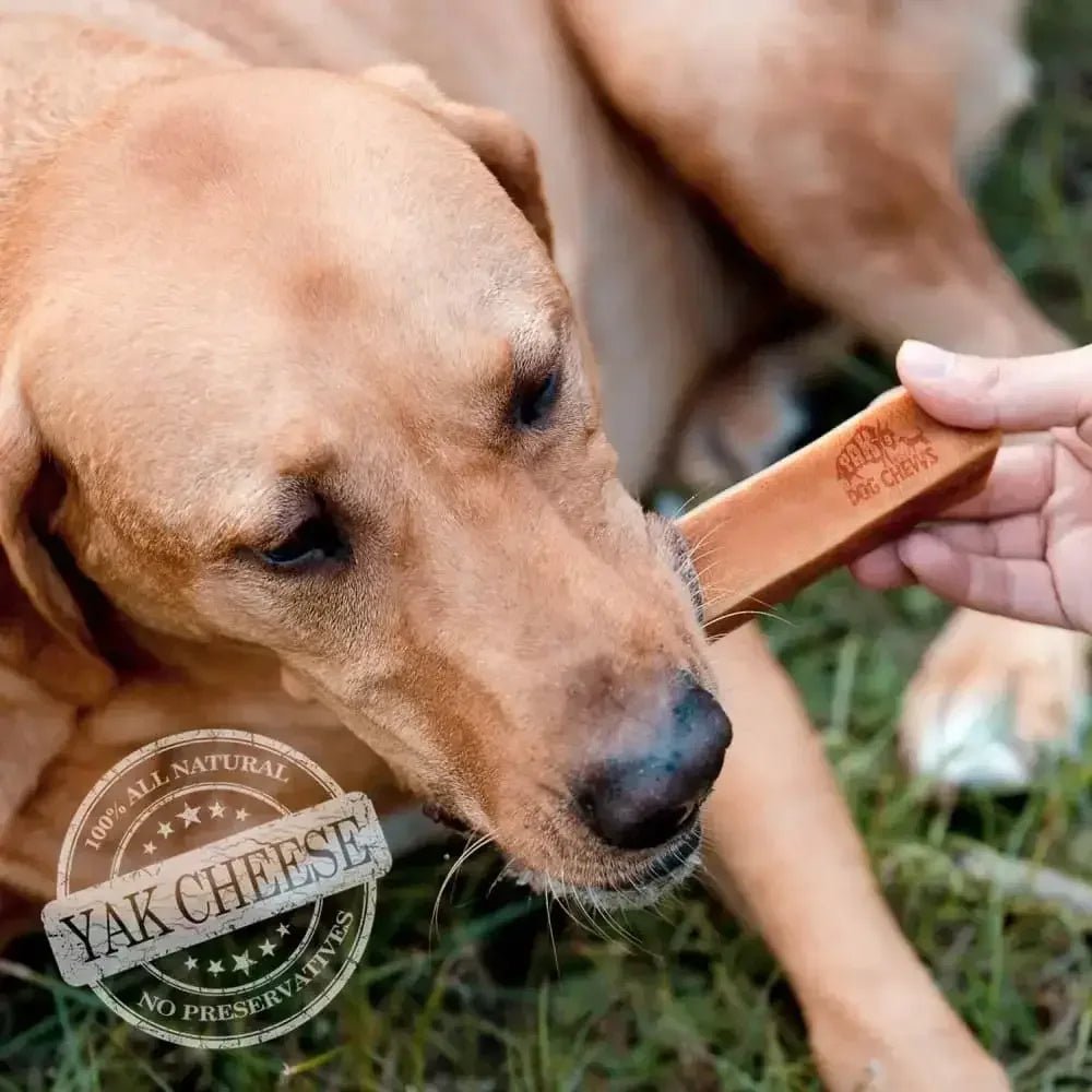 Yak Milk Chews for Dogs Chew Dog Treat - Talis Us