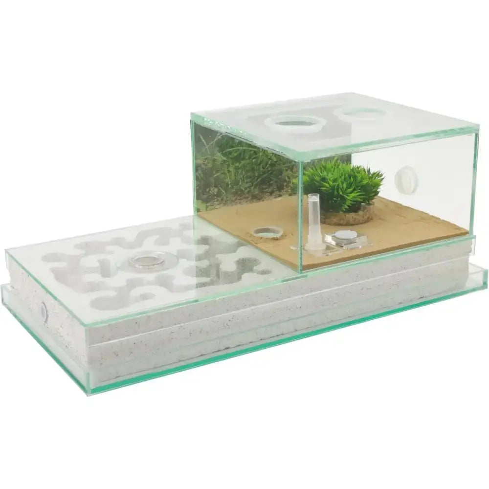 Ytong/ aerated concrete Nest + Arena Set – 40×20 - Talis Us