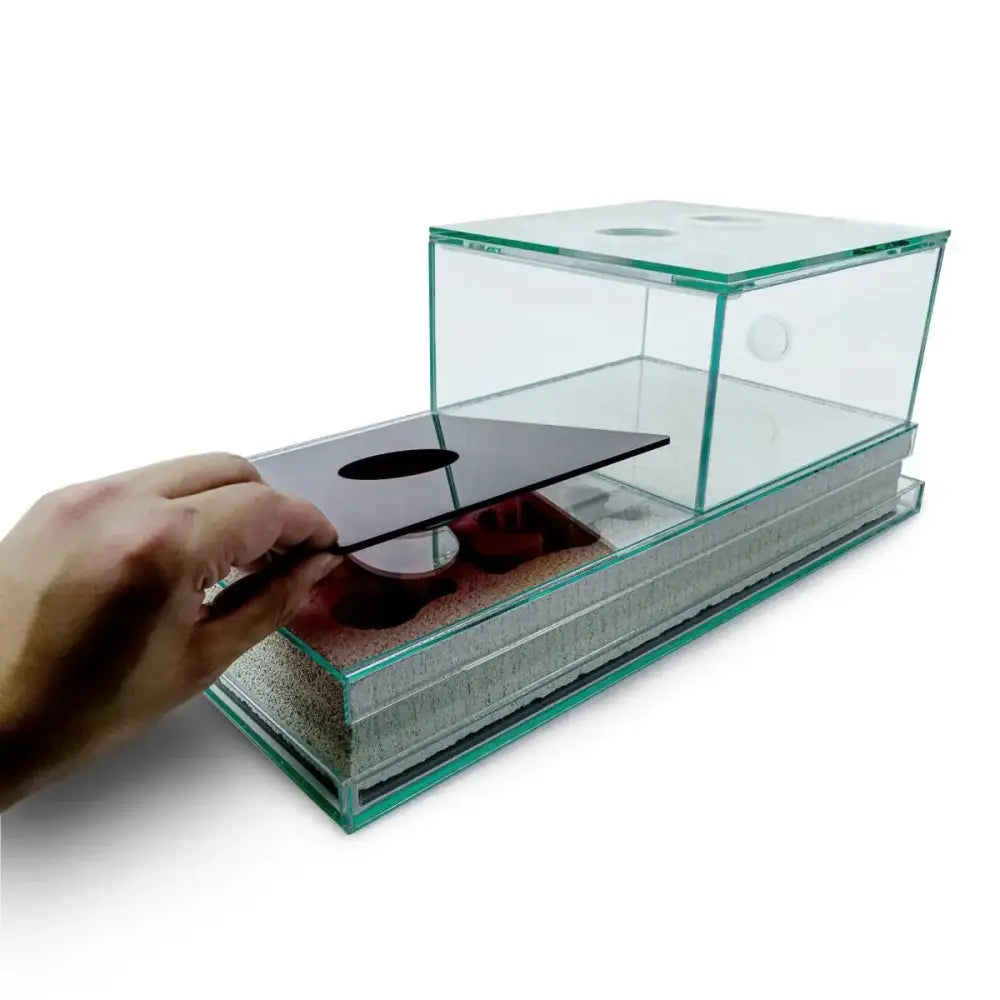 Ytong/ aerated concrete Nest + Arena Set – 40×20 - Talis Us