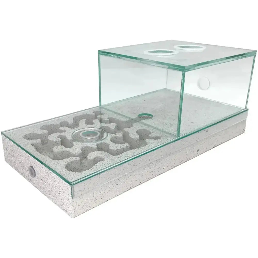 Ytong/ aerated concrete Nest + Arena Set – 40×20 - Talis Us