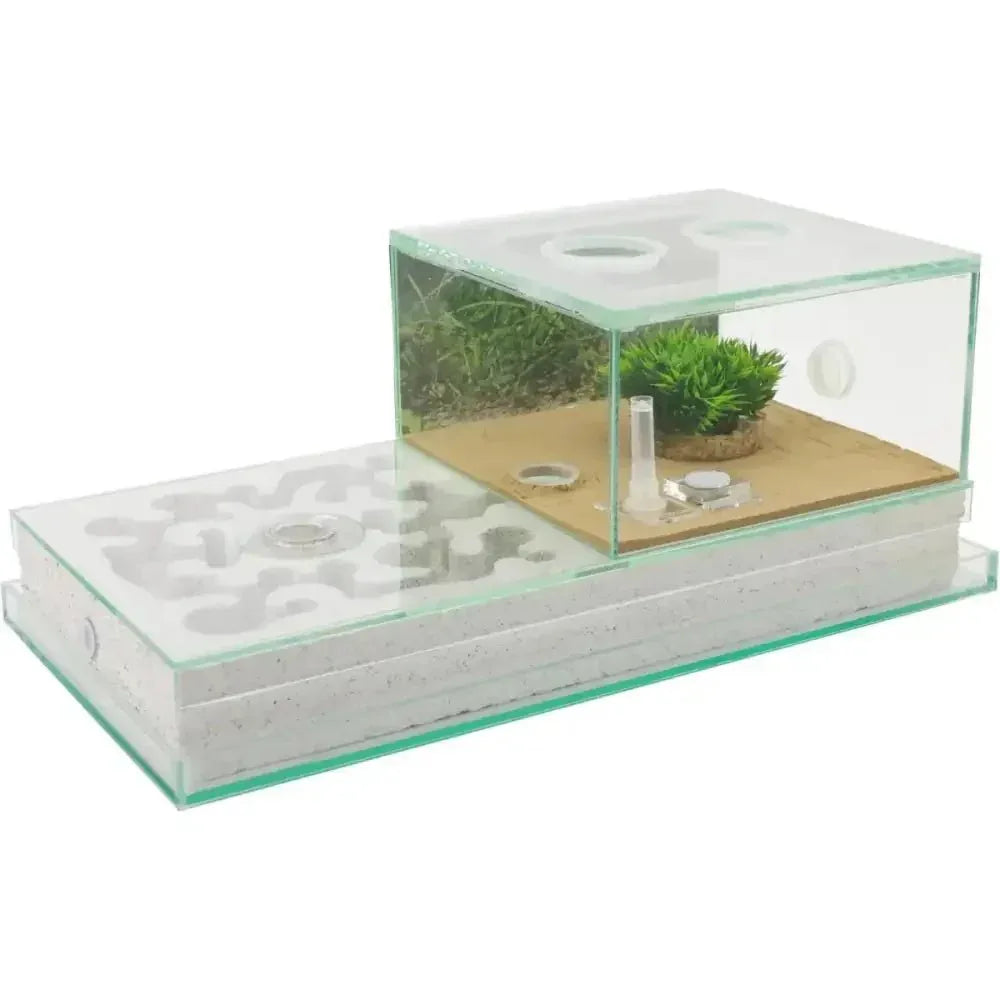 Ytong/ aerated concrete Nest + Arena Set – 40×20 - Talis Us