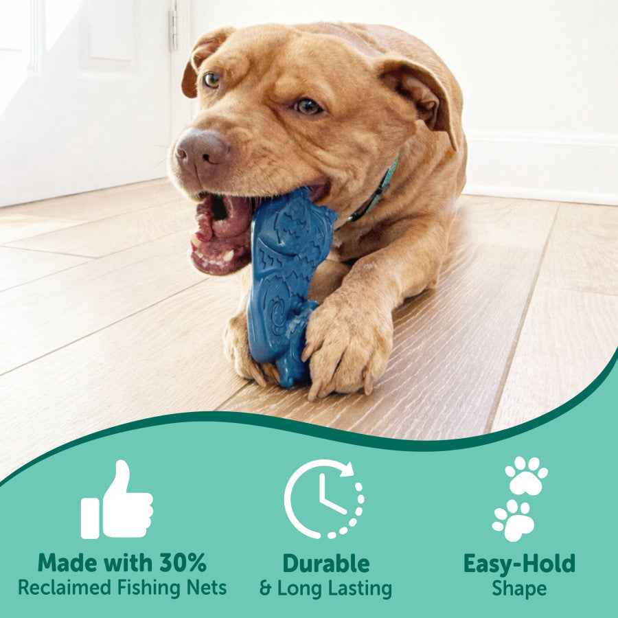 Nylabone Power Chew Love Our Oceans Teddy Bear Bone Dog Chew Toy
