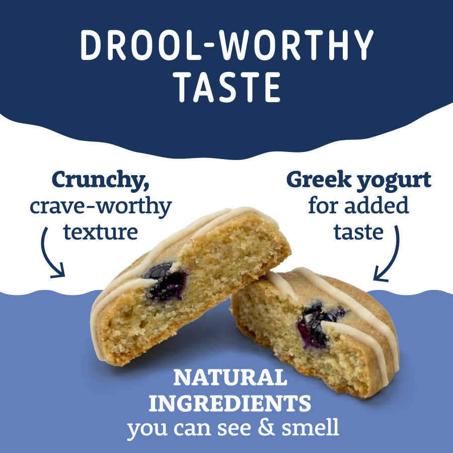 Close-up of split oat and blueberry dog treat with yogurt drizzle showcasing texture and natural ingredients labeled on blue background