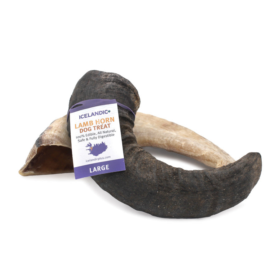 Icelandic Large Lamb Horn dog treat with a purple label on a white background.