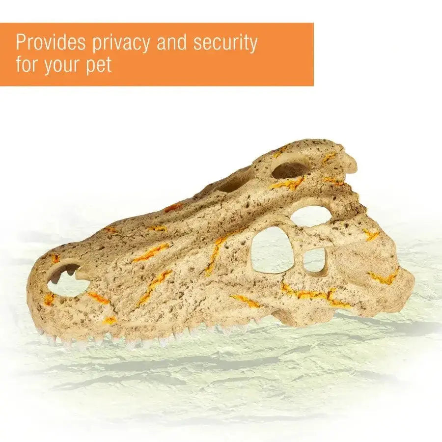 Zilla Crocodile Skull Rapid Sense Decor Reptile Supply - Talis Us