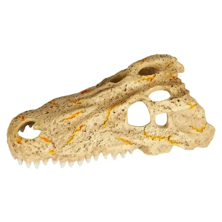 Zilla Crocodile Skull Rapid Sense Decor Reptile Supply - Talis Us