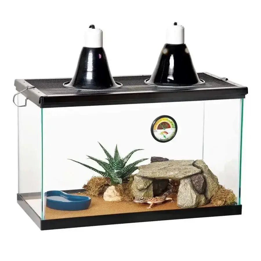 Zilla Desert Reptile Terrarium Starter Kit 10 - Talis Us