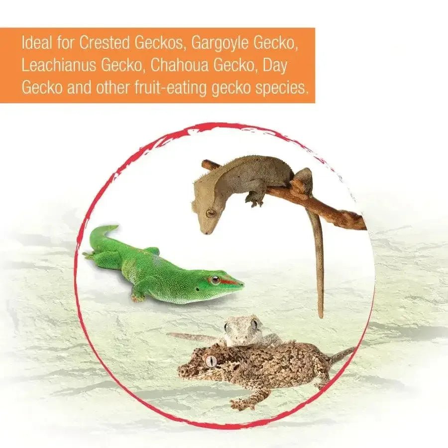 Zilla Gecko Gold Powdered Diet - Talis Us