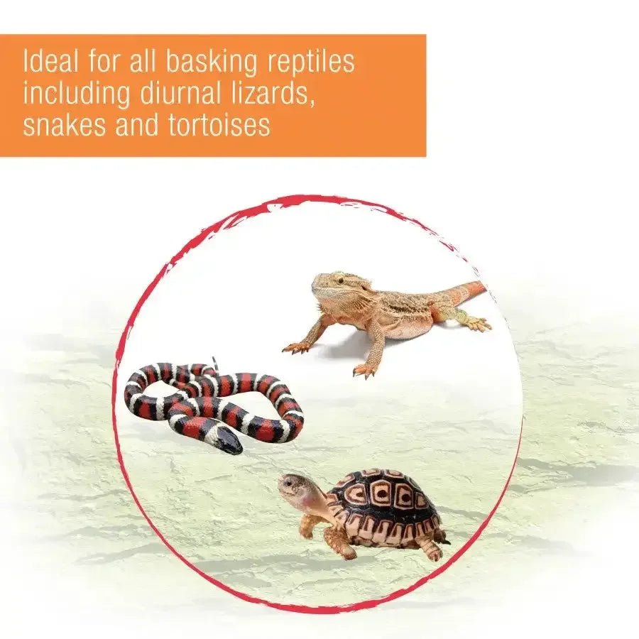 Zilla Heat Projector Deep Heat Lamp Infrared Heater Light for Reptile and Amphibian Pet - Talis Us
