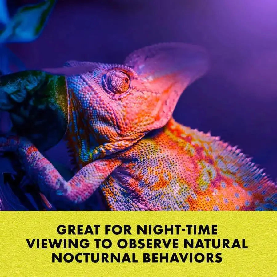 Zilla Incandescent Spot Bulb Zilla®