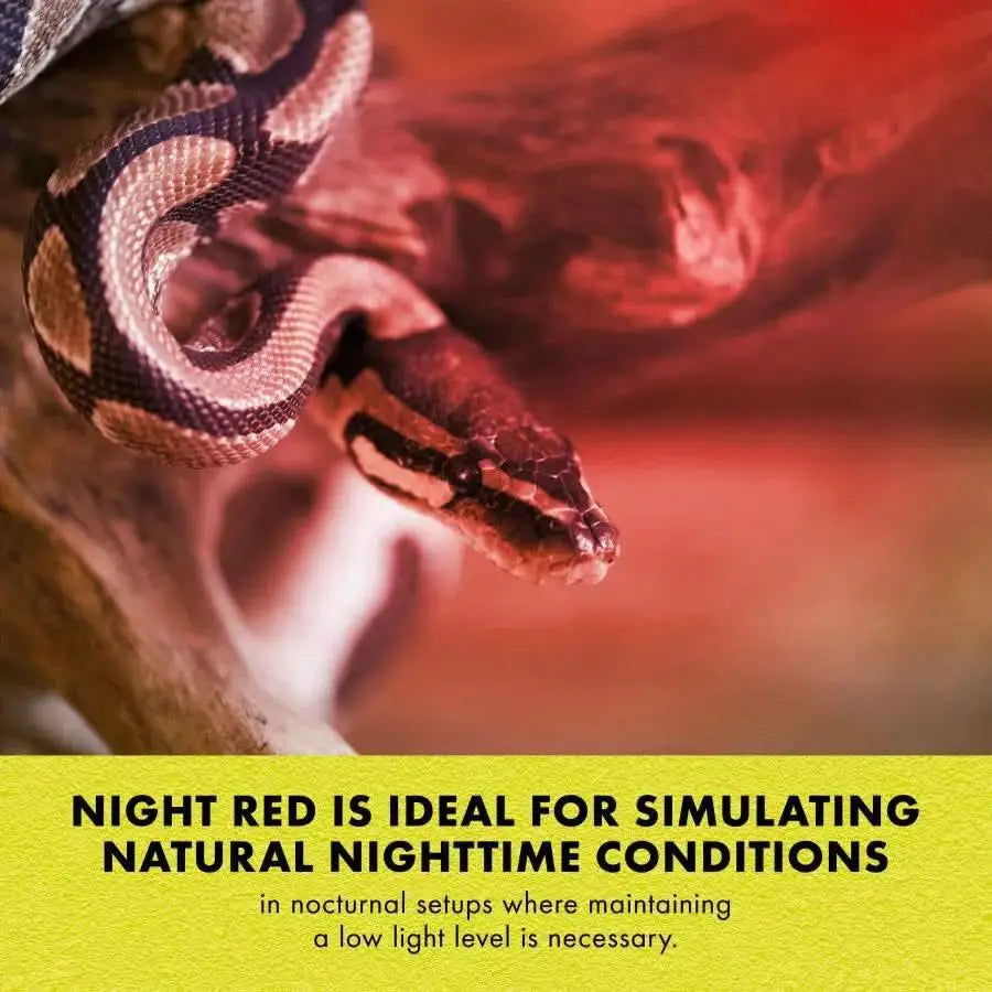 Zilla® Mini Halogen Bulb 25 Watt Day White Color 2.5 X 0.75 X 4 Inch Zilla®