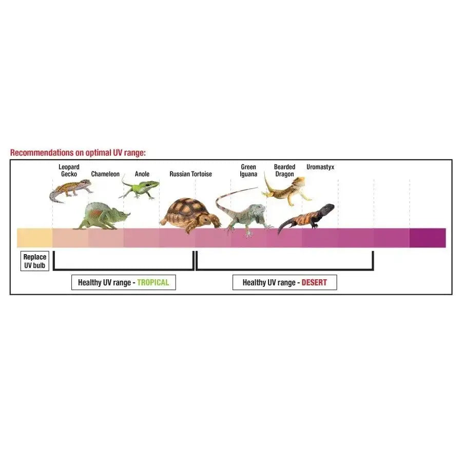 Zilla Rapid Poplar Log Sense Decor Reptile Supply - Talis Us