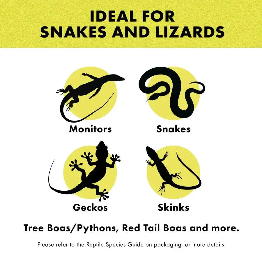 The graphic Ideal for Snakes and Lizards displays silhouettes of a monitor, snake, gecko, and skink. It suggests Zilla® Snake Bedding Lizard Litter Natural for Tree Boas/Pythons and Red Tail Boas, noting its hypo-allergenic aspen chips and advising a look at the Reptile Species Guide.