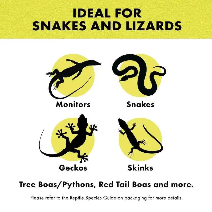 The graphic Ideal for Snakes and Lizards displays silhouettes of a monitor, snake, gecko, and skink. It suggests Zilla® Snake Bedding Lizard Litter Natural for Tree Boas/Pythons and Red Tail Boas, noting its hypo-allergenic aspen chips and advising a look at the Reptile Species Guide.