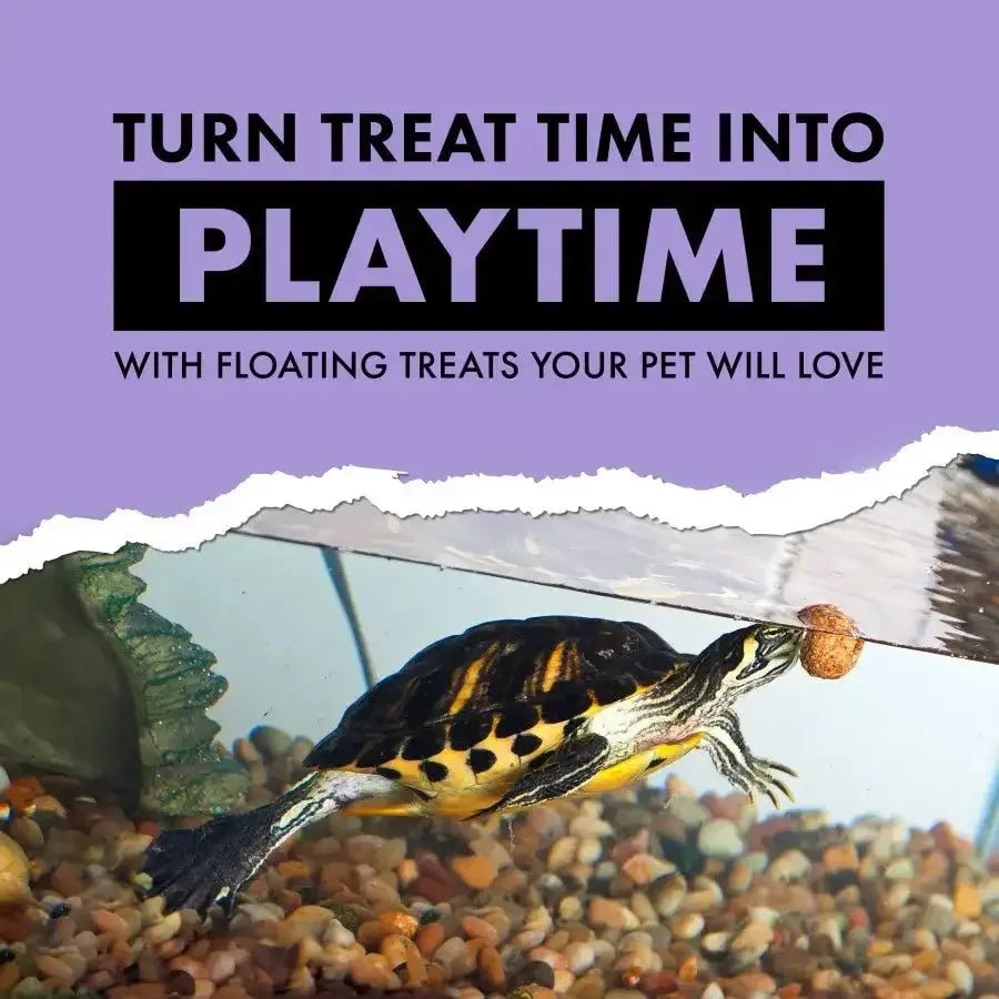 Zilla Turtle Chasers Floating Treats Shrimp - Talis Us