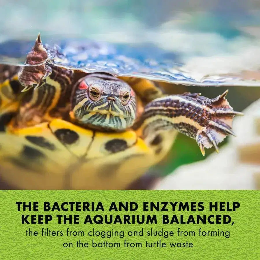 Zilla Turtle PURE 4 - pk - Talis Us