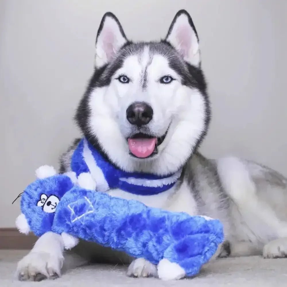 Zippy Paws Hanukkah Jigglerz Blue Bear Dog Toys - Talis Us