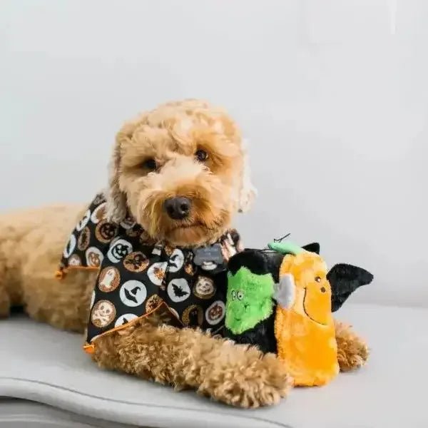 ZippyPaws Halloween Squeakie Buddies Dog Toys - Talis Us