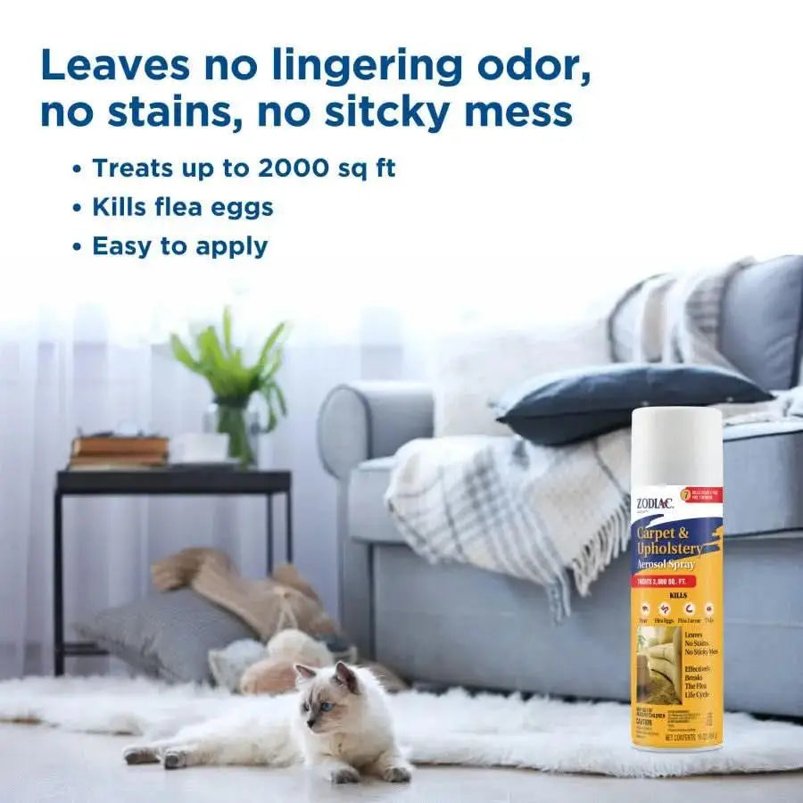 A can of Zodiac® CPD Carpet and Upholstery Aerosol Spray 16 oz sits on a cozy living room floor near a cat, featuring no odor, no stains, kills flea eggs, treats up to 2,000 sq ft, and is easy to apply.
